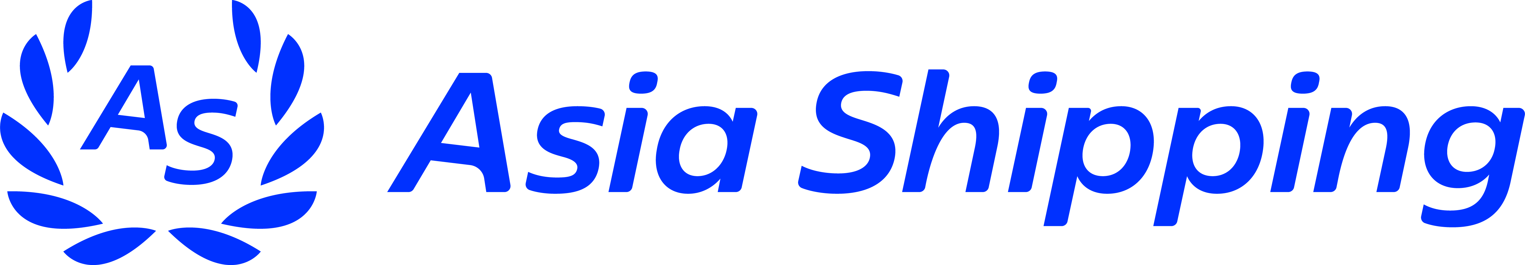 Asia Shipping International Transport Pvt. Ltd. (New Delhi, India)